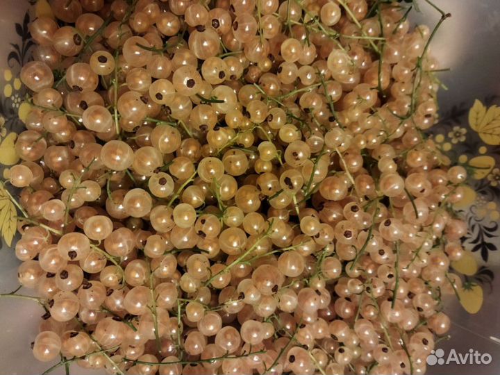 Крыжовник ягоды, белая смородина ягоды