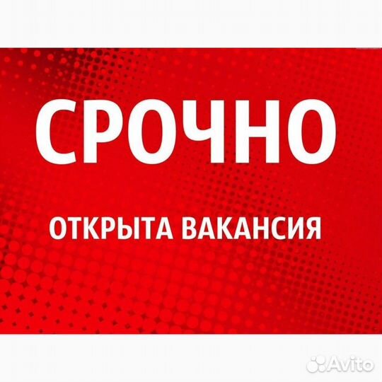 Упаковщики/Бесплатный автобус/Еженедельные авансы
