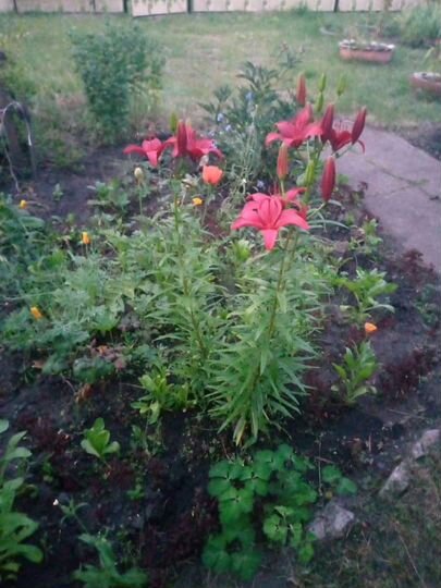 3-к. квартира, 98 м², 1/1 эт.