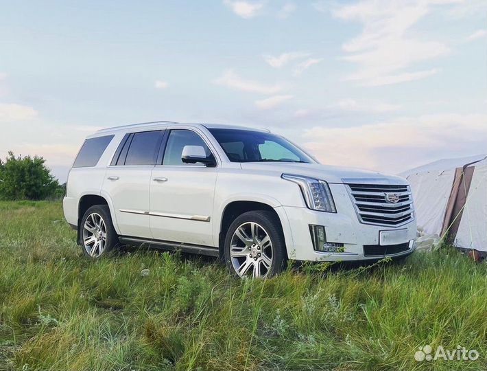 Cadillac на свадьбу