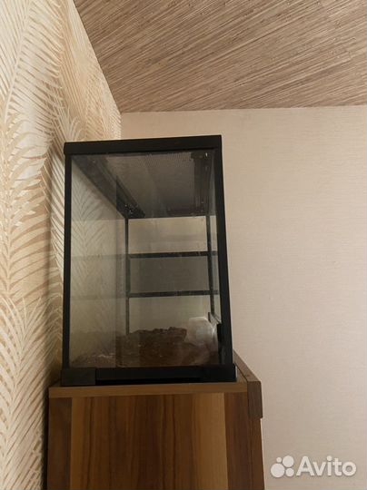 Террариум для рептилий