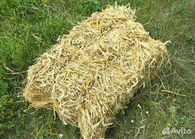 Солома в тюках с доставкой