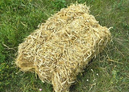 Солома в тюках с доставкой