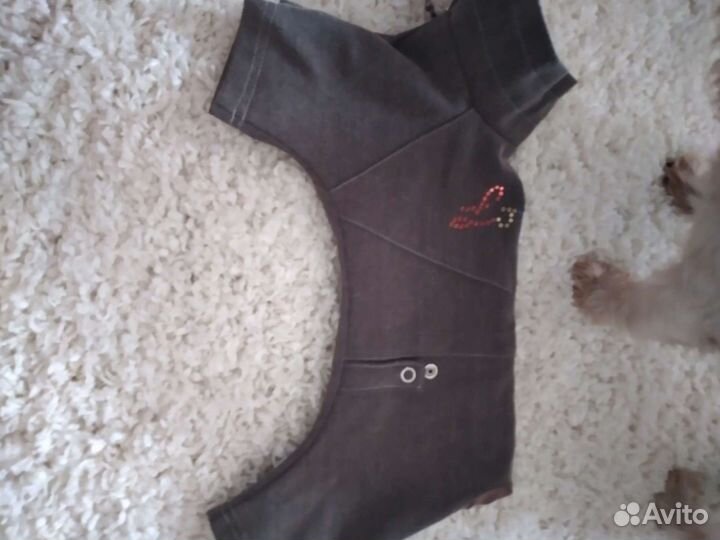 Костюмчик для собачки