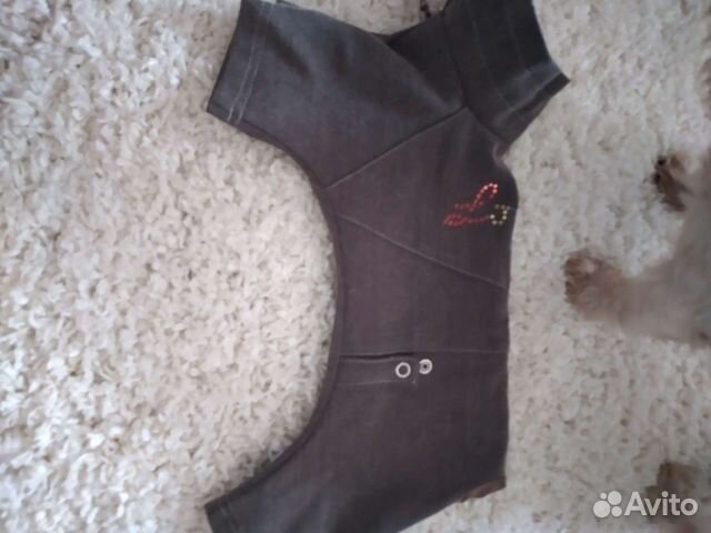 Костюмчик для собачки