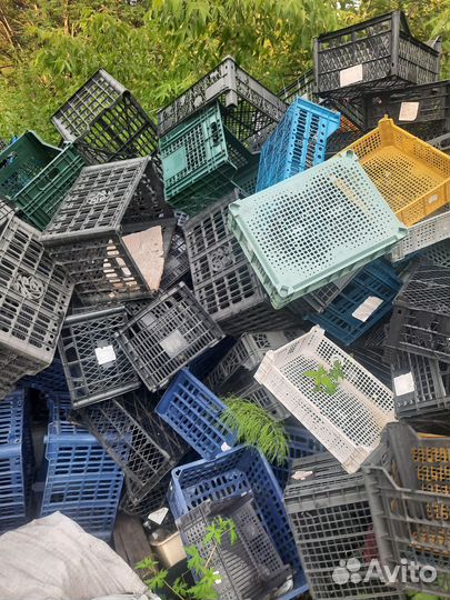 Пластиковые ящики для хранения бу