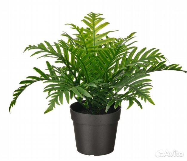 Искусственное растение Фейка, Икеа, Кашпо