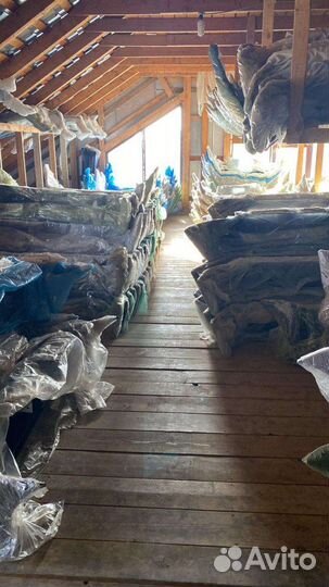 Бампер на приору