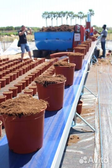 Машина для наполнения горшков грунтом