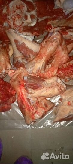 Мясо говядина халяль