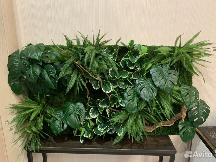 Фитостены, фитопанно и потолочное озеленение