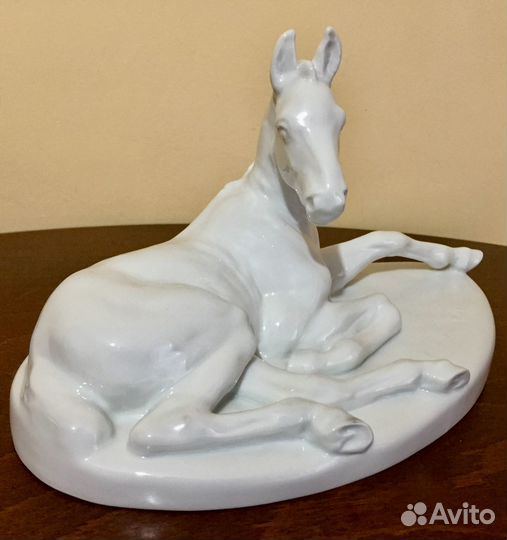 Лошадь. Германия