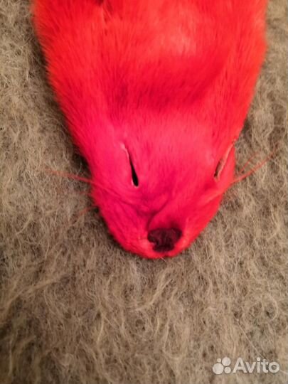 Норка красная чулок