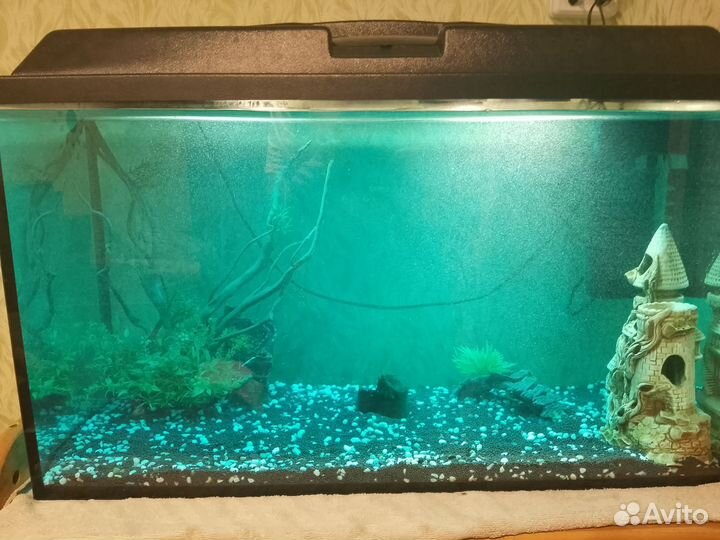 Продам аквариумы. 100 л. и 40 л