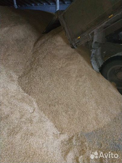 Фермерское хозяйство спк