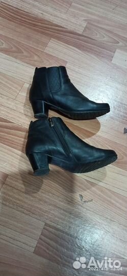 Сапоги осень весна женские