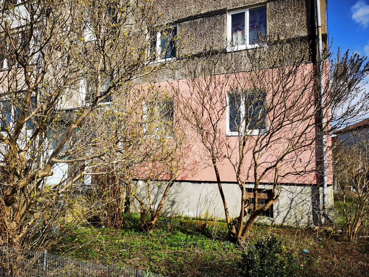 3-к. квартира, 65 м², 1/3 эт.