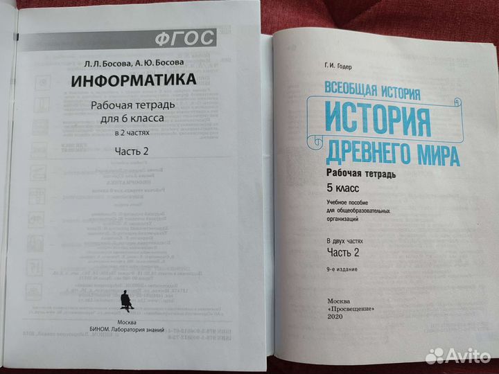Рабочие тетради 5, 6 класс
