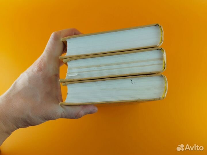 Сон в красном тереме Цао Сюэцинь