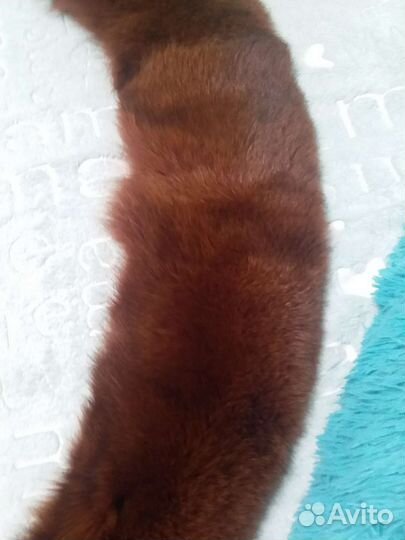 Меховой воротник песец