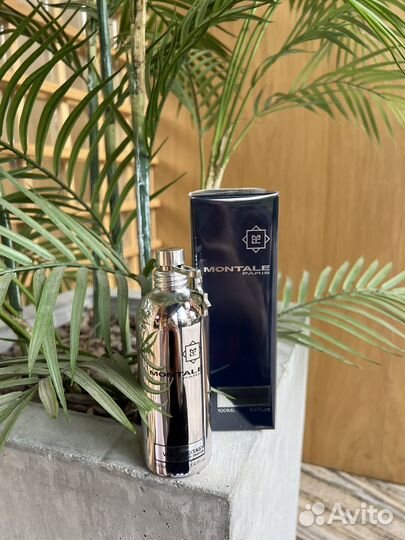 Montale vanilla extasy