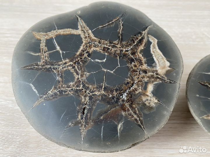 Септария камень минерал коллекция