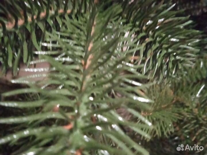 Ёлка литая Россия 180 см