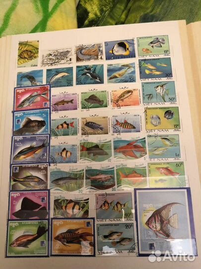 Почтовые марки серии фауна