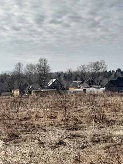 Участок 10 сот. (ИЖС)