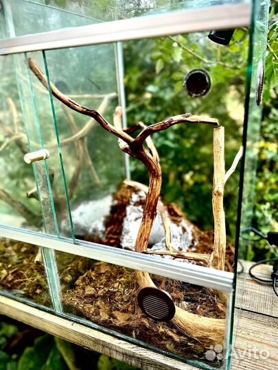 Изготовление террариумов для рептилий