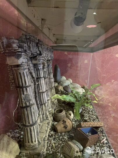 Аквариум с тумбой 200 литров