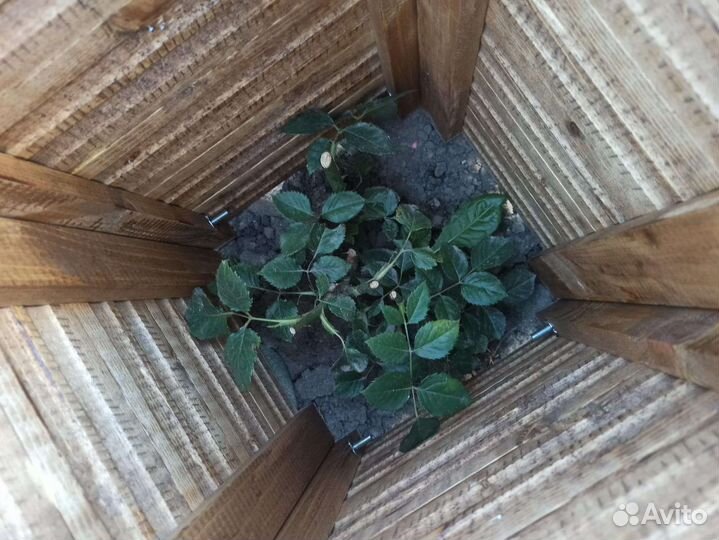 Домик для роз