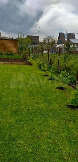 Участок 5,5 сот. (СНТ, ДНП)