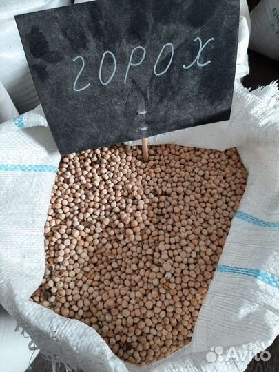 Горох кормовой