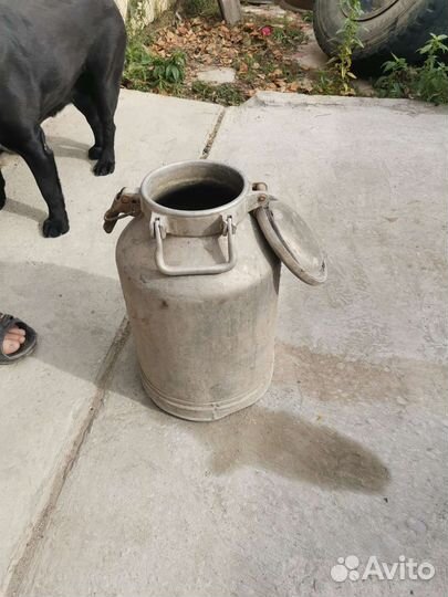 Фляга молочная