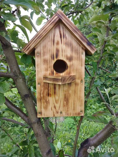 Скварешник