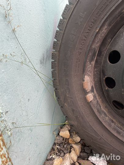 Колеса r14 daewoo nexia зимняя липучка