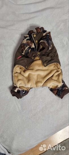 Одежда для собак