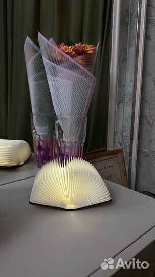 Ночник Книга