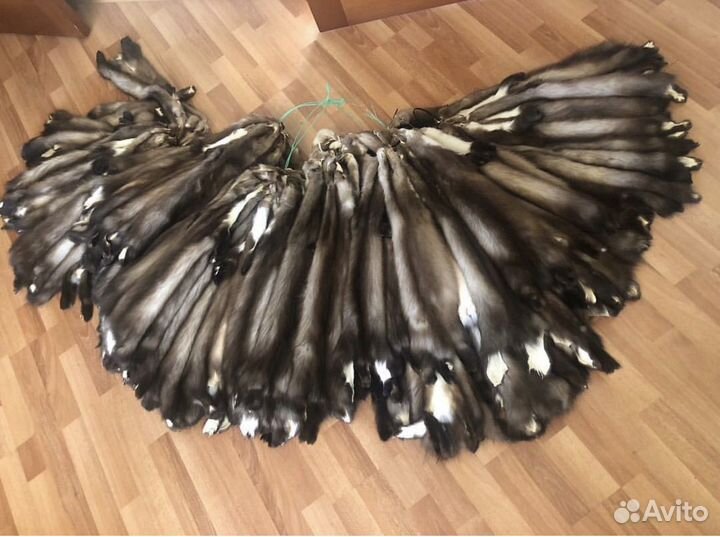 Шкурки куницы