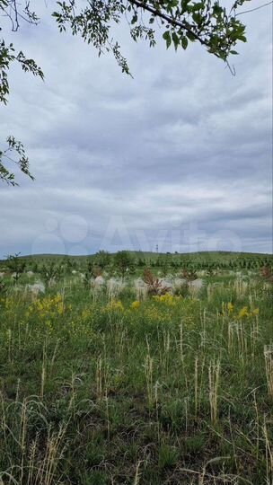 Участок 10 сот. (СНТ, ДНП)