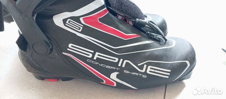 Лыжные ботинки Spine Concept