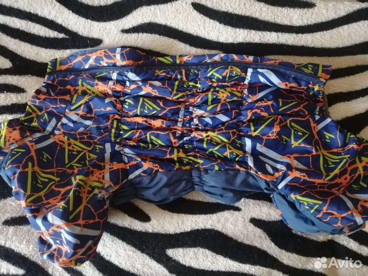 Одежда для собак мелких пород