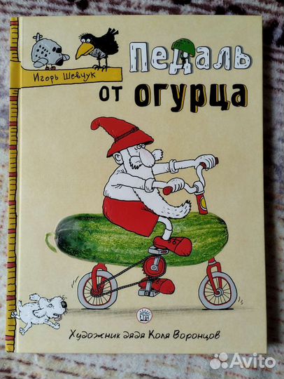 Книга. Игорь Шевчук 