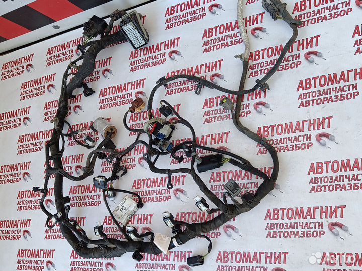 Проводка двигателя двс Форд Мустанг 6 2.3
