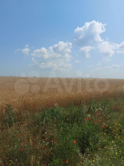 Участок 5,3 га (СНТ, ДНП)