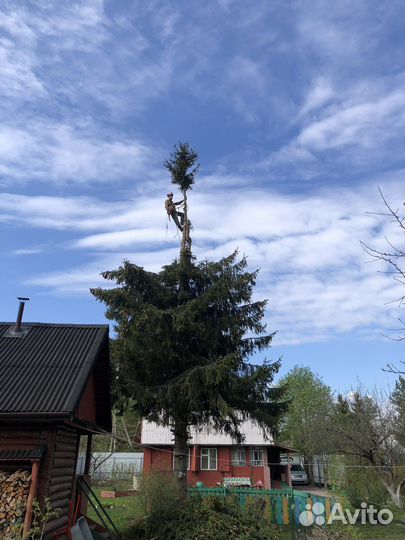 Спил деревьев, валка частями, расчистка участка