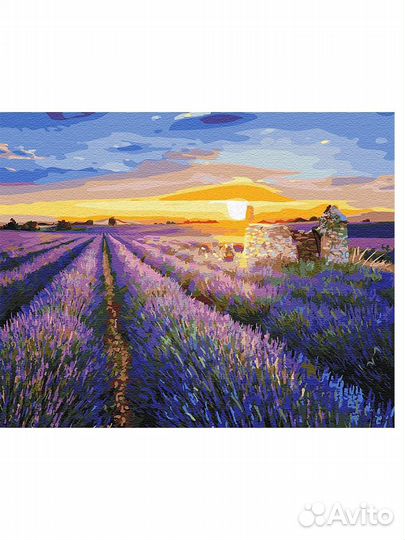 Картина по номерам 40*50 «Поля лаванды»