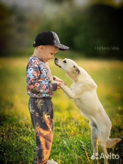 Фотограф (фотосессия) москва И химки