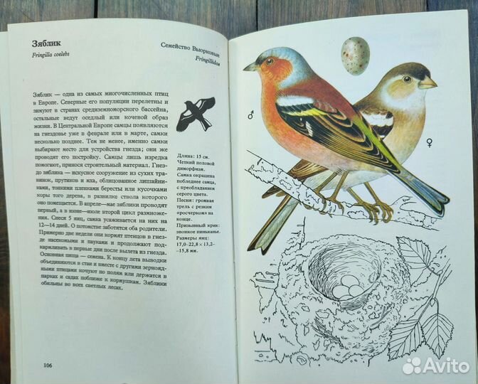 Книга про птиц